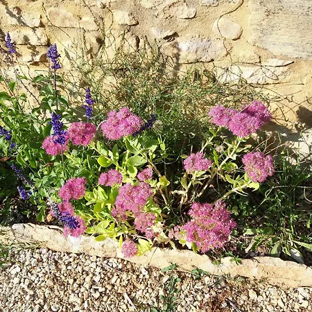 Le Logis Holiday home Vitrac (Dordogne)